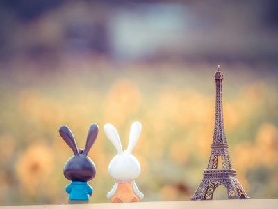 哪些细节被忽视会导致法国签证拒签? 哪些细节被忽视会导致法国签证拒签?