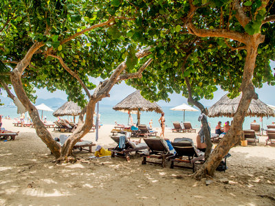 为什么有些人办理越南签证会被拒签? 为什么有些人办理越南签证会被拒签?