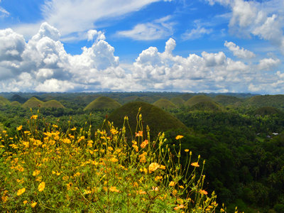 办理菲律宾落地签应注意什么? 办理菲律宾落地签应注意什么?