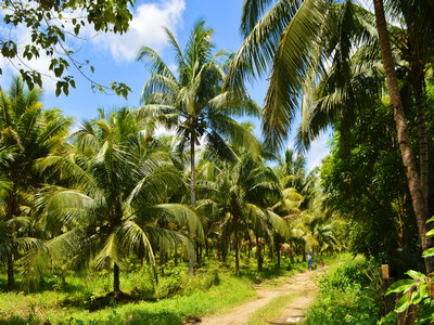 没有签证可以前往菲律宾吗? 没有签证可以前往菲律宾吗?