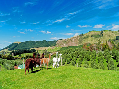 自由职业者办理澳大利亚旅游签证如何提供资产证明？