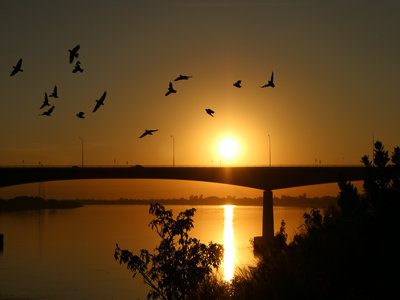 老挝签证的申请进度可以查询吗? 老挝签证的申请进度可以查询吗?