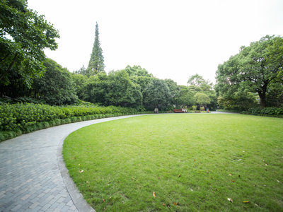 马来西亚哪种类型签证最受欢迎? 马来西亚哪种类型签证最受欢迎?