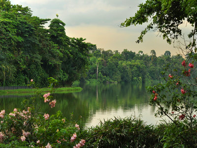 如何申请新加坡电子团签? 如何申请新加坡电子团签?