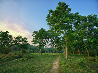 代办尼泊尔签证的优势有哪些? 代办尼泊尔签证的优势有哪些?