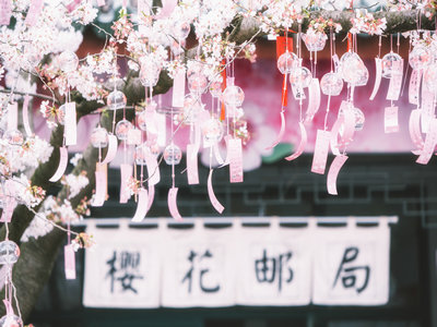 申请者的经济状况会影响日本签证出签吗? 申请者的经济状况会影响日本签证出签吗?