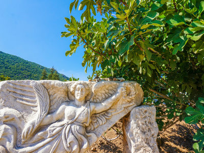 如何办理土耳其过境签? 如何办理土耳其过境签?