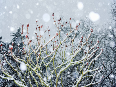 德国签证出签后,应核对哪些信息? 德国签证出签后,应核对哪些信息?