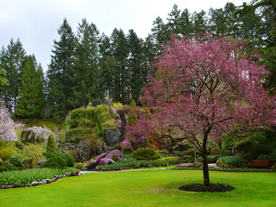 1586842318963351.jpg 加拿大.jpg