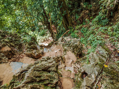 老挝原签证有效能再次申请吗? 老挝原签证有效能再次申请吗?