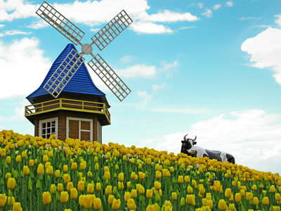 申请荷兰旅游签证应所需材料有哪些? 申请荷兰旅游签证应所需材料有哪些?