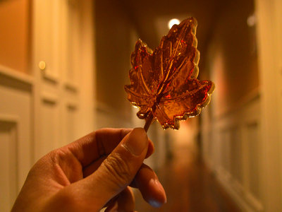 加拿大签证申请者都需要录入指纹吗? 加拿大签证申请者都需要录入指纹吗?