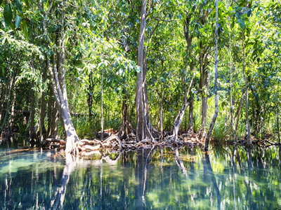 携带泰国签证,就一定能入境吗? 携带泰国签证,就一定能入境吗?