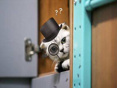 列支敦士登签证好办吗? 列支敦士登签证好办吗?