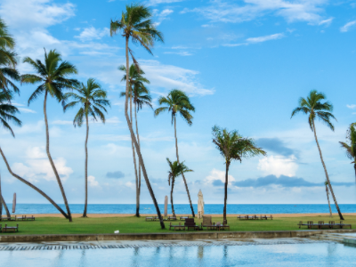 斯里兰卡签证拒签率高吗? 斯里兰卡签证拒签率高吗?