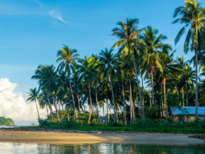 持有菲律宾旅游签证可以多次入境吗? 持有菲律宾旅游签证可以多次入境吗?