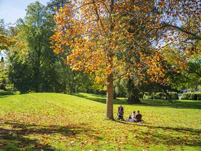 新西兰签证对资产证明有什么要求 新西兰签证对资产证明有什么要求