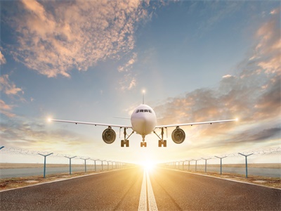 办理越南落地签时,没有批文可以上飞机吗? 办理越南落地签时,没有批文可以上飞机吗?