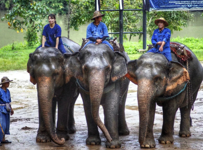 2021年,去泰国还能办理落地签证吗? 2021年,去泰国还能办理落地签证吗?