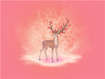 可以加急办理孟加拉签证吗? 可以加急办理孟加拉签证吗?