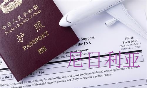 尼日利亚电子签办理流程和材料 尼日利亚电子签办理流程和材料