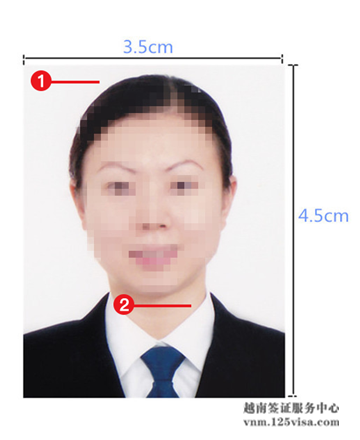 越南签证材料照片模板 越南签证材料照片模板