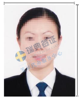 瑞典签证照片材料模板